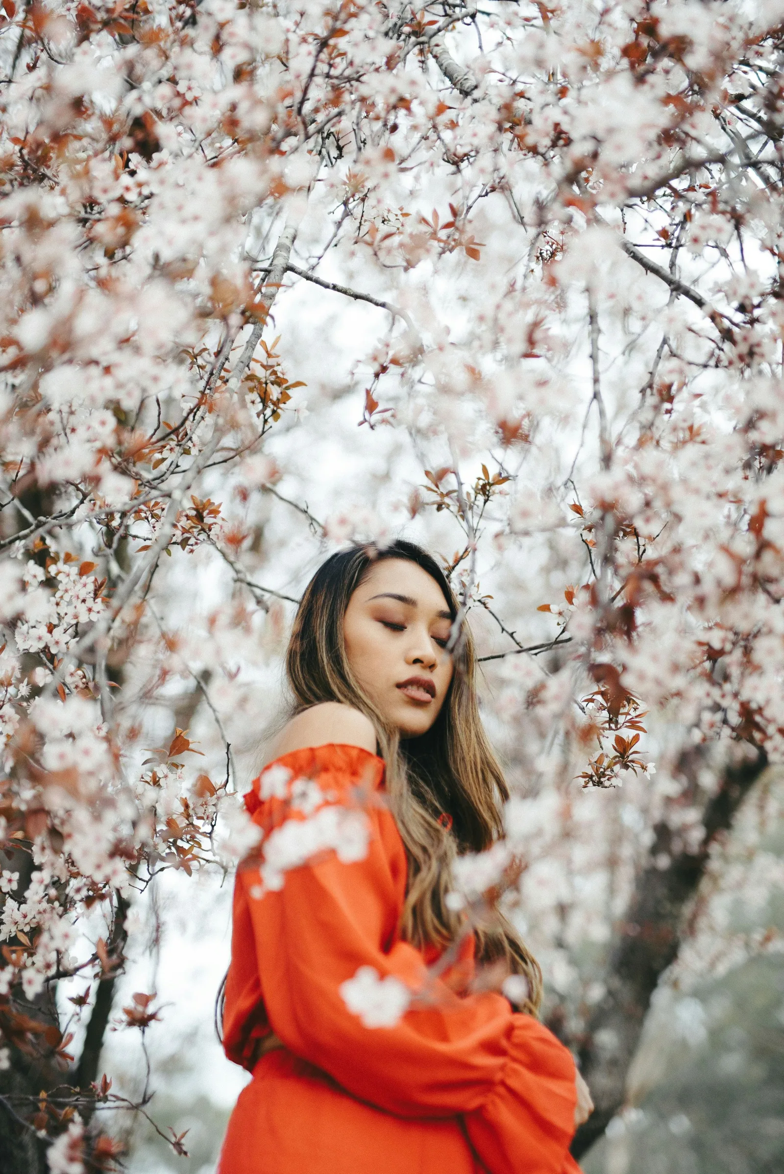 Cherry Blossom Sessions