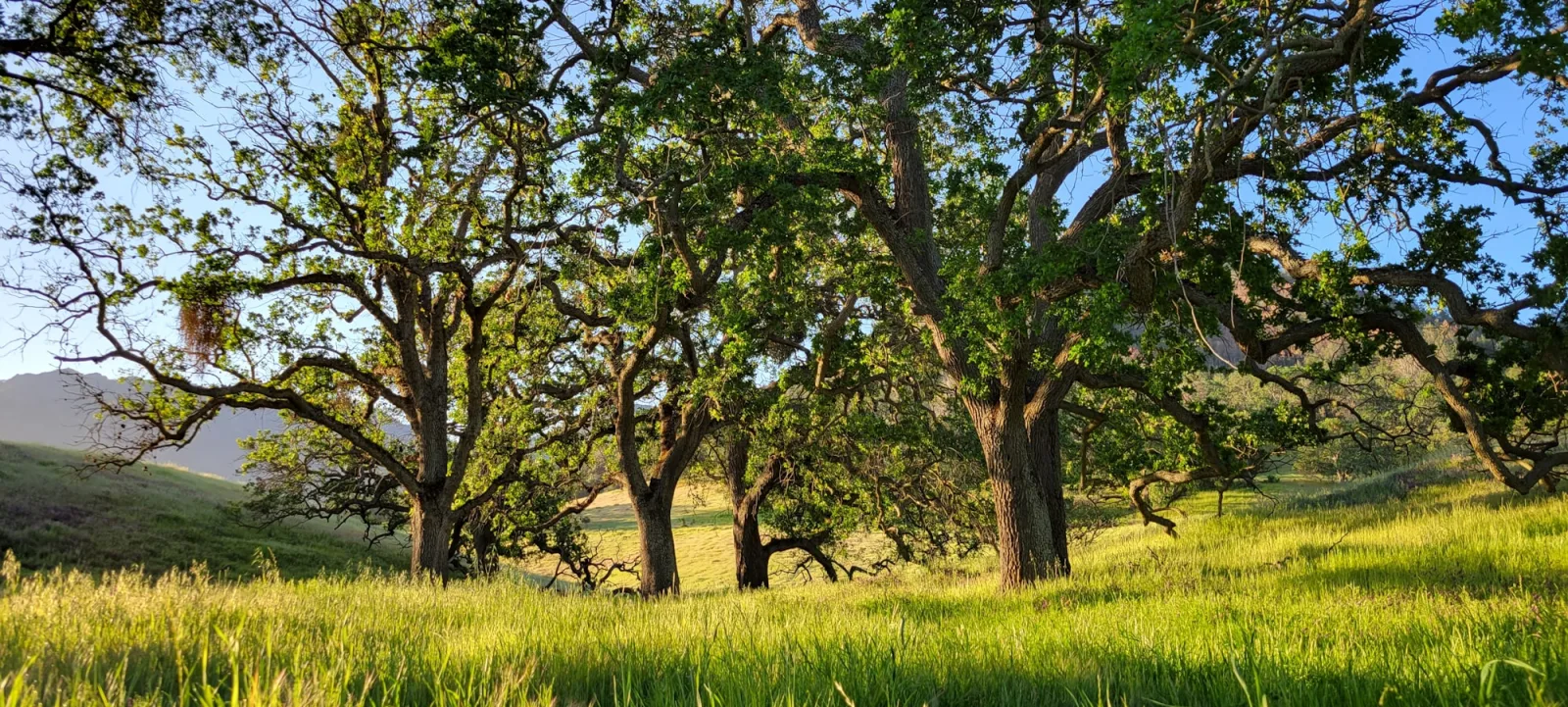 Scenic reference image for Your campus