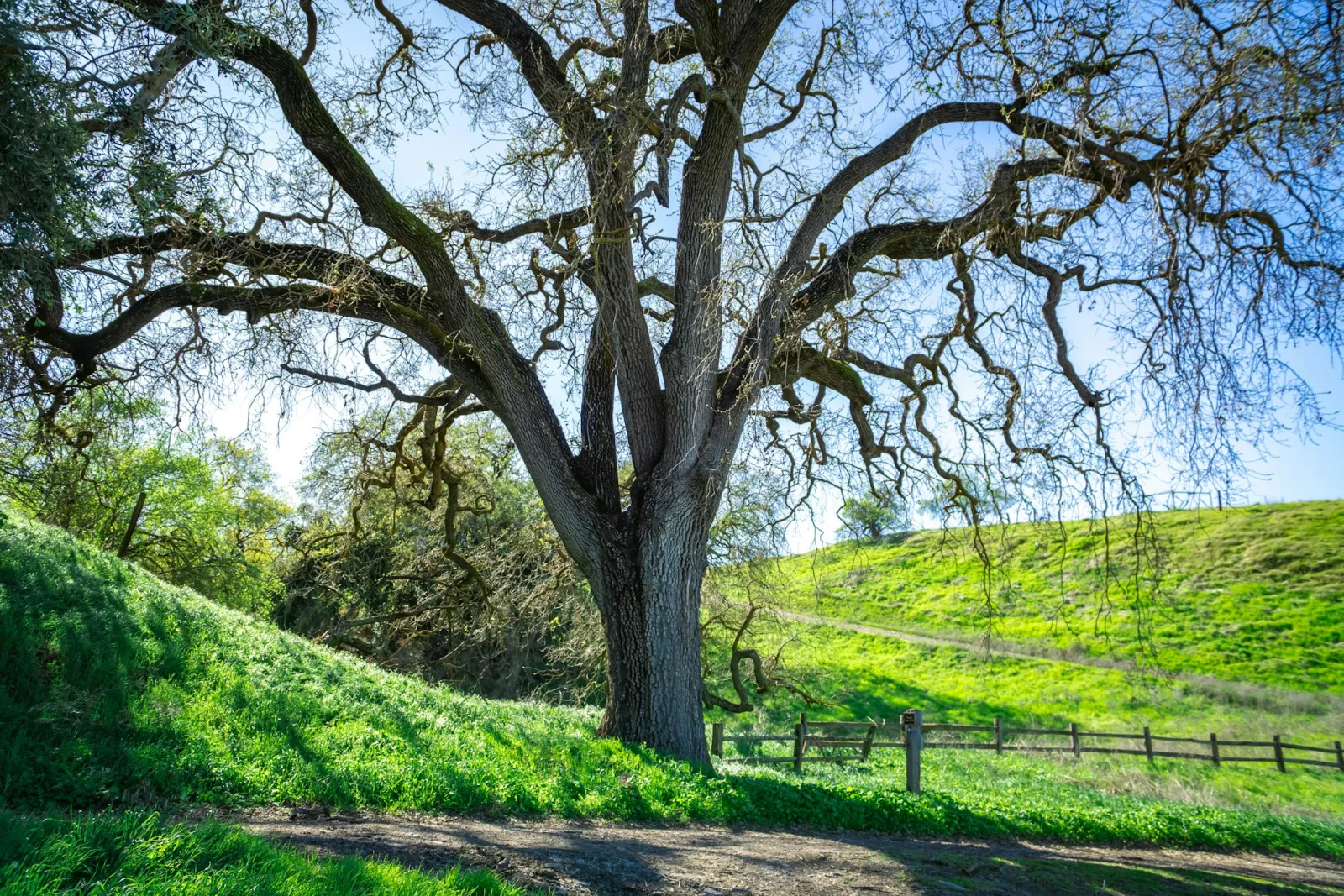 Scenic reference image for Sand Hill / Woodside