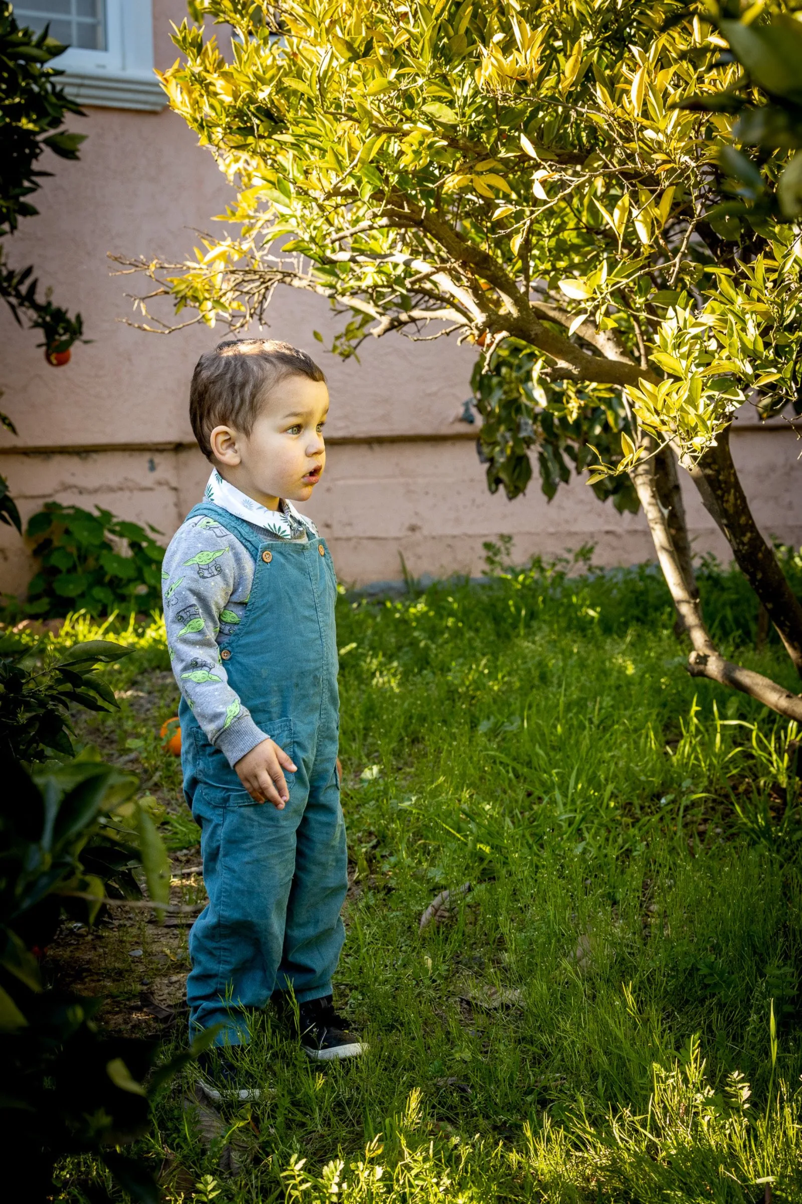 Family Portraits photo 15
