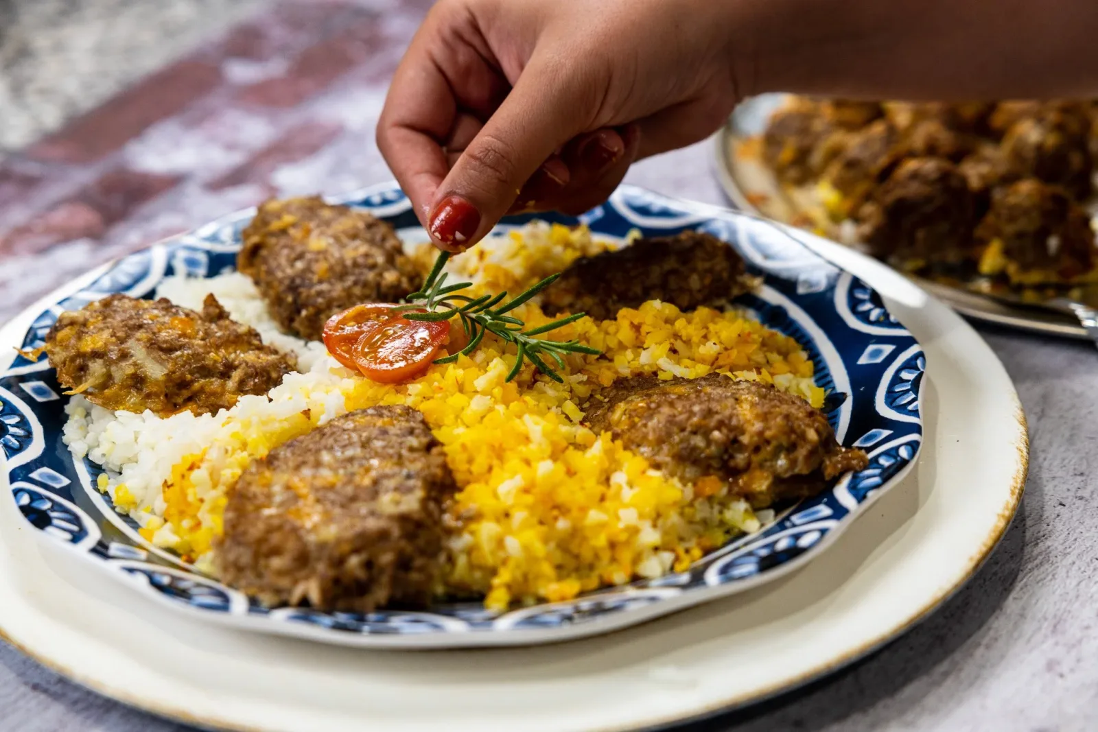 Garnished main course on a patterned plate, shot for a menu