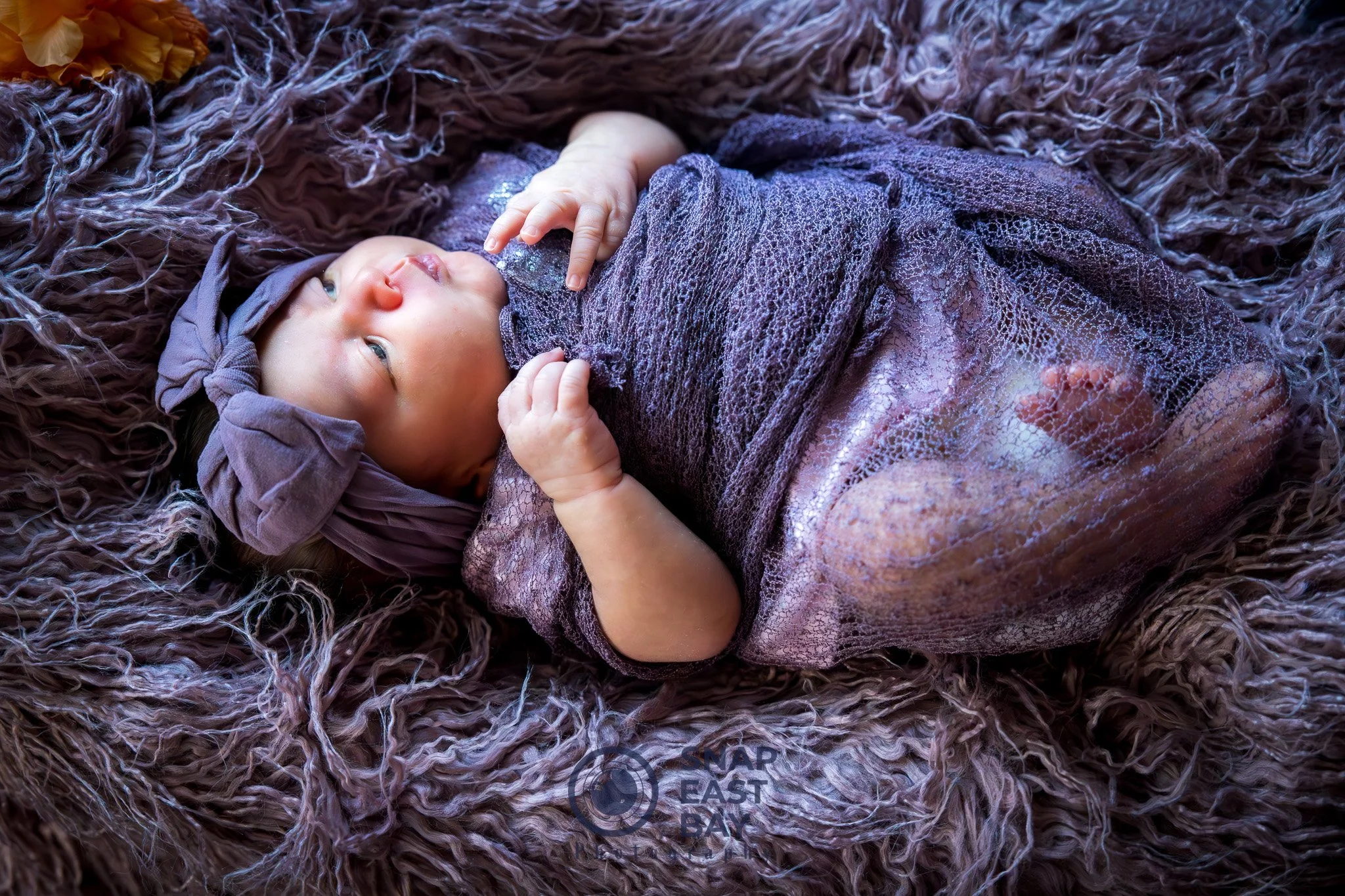 Newborns