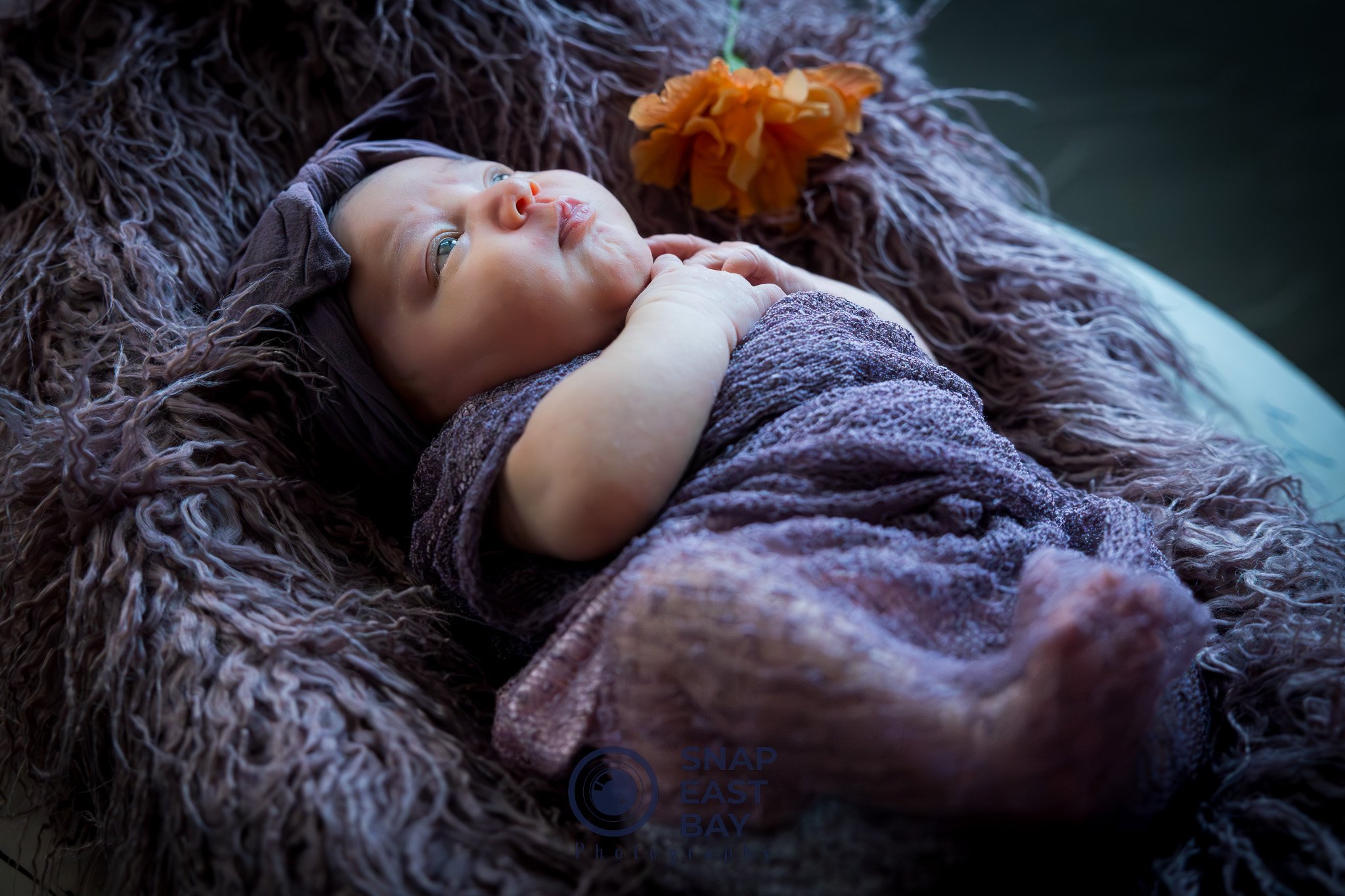 Newborns photo 4