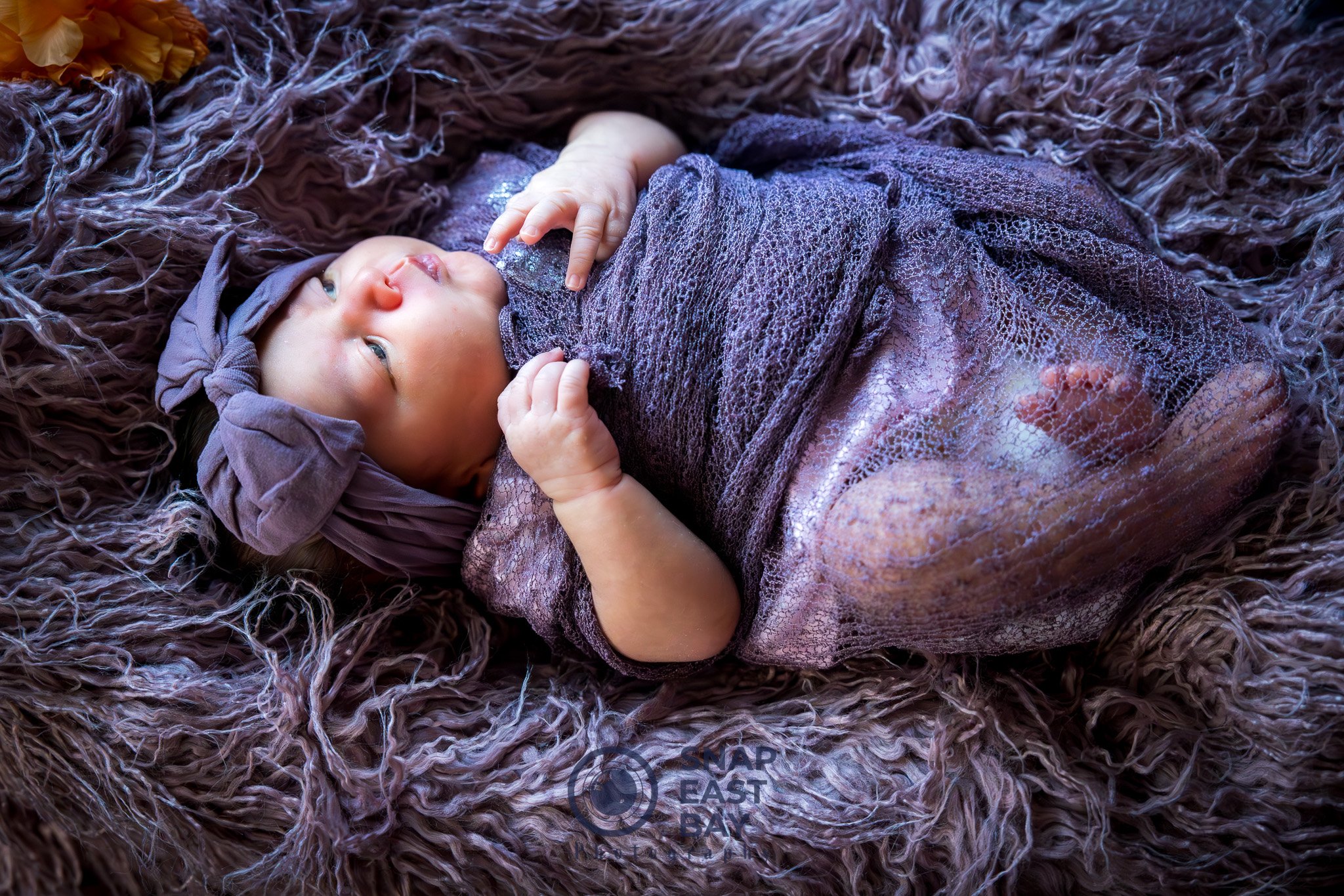 Newborns photo 5