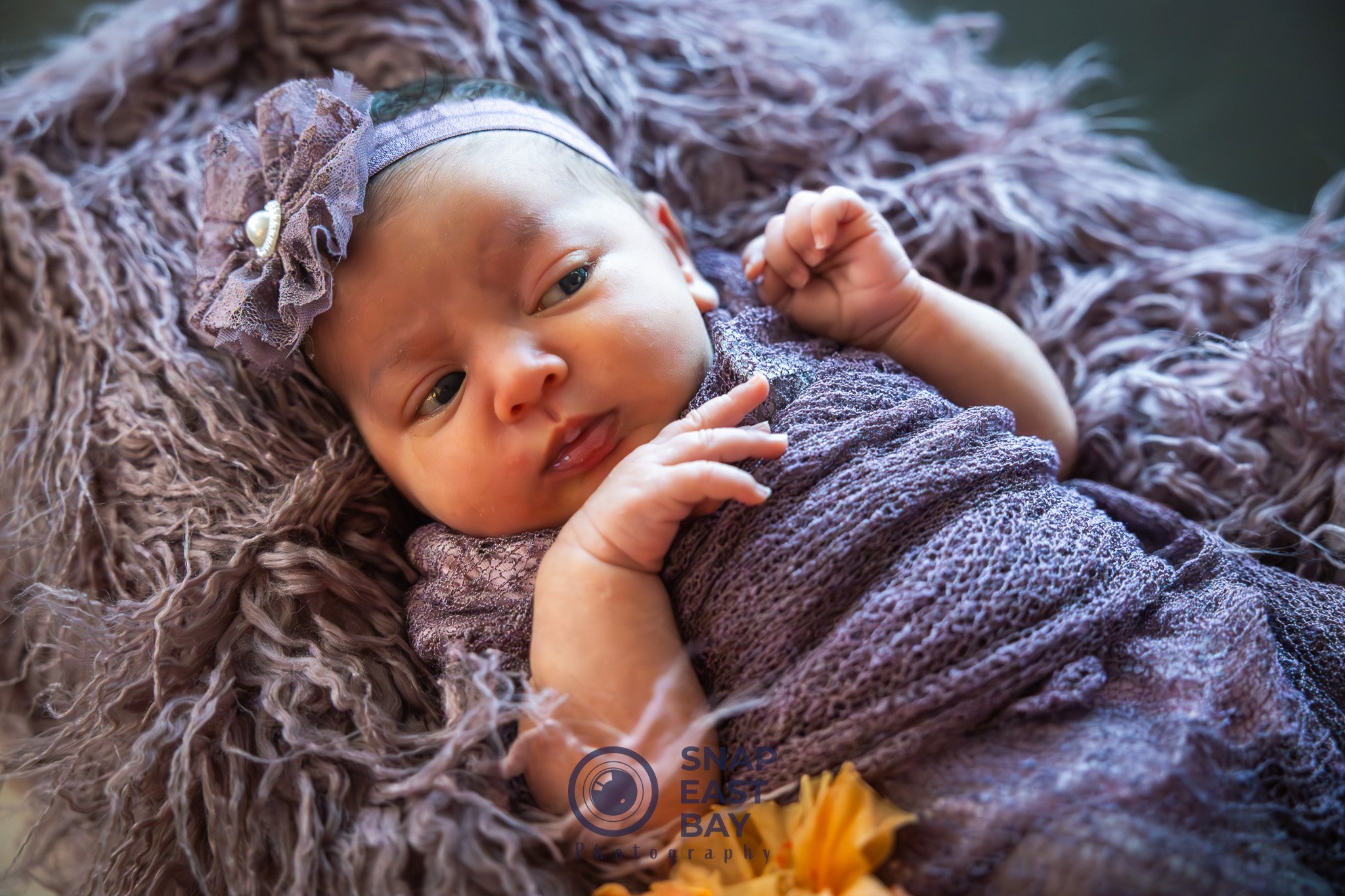 Newborns photo 8
